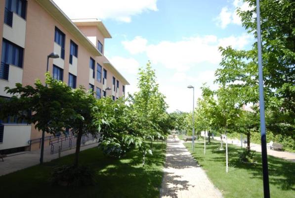 Foto3